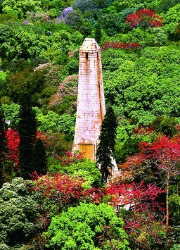 广州起义先烈的热血浇灌观音山（越秀山）漫山红遍。廖宁摄/光明图片