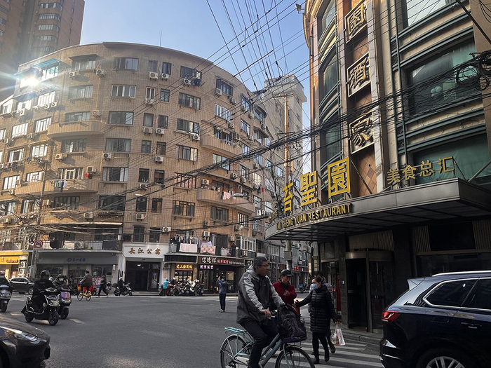 12月28日，苔圣园。澎湃新闻记者 邹佳雯 图