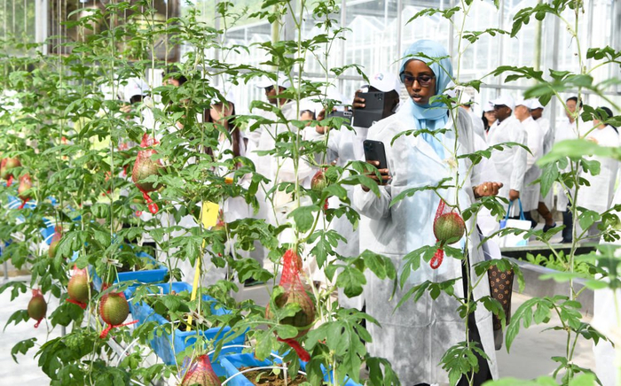   2023年11月14日，参加中非农业合作论坛的嘉宾在海南省三亚市吉阳区大茅村的农业科创中心参观。新华社记者 杨冠宇 摄