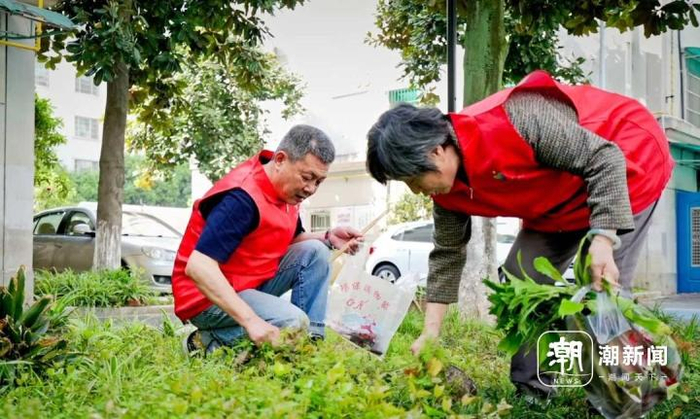 离退休干部社区上岗清理小区杂草。图片由受访者提供