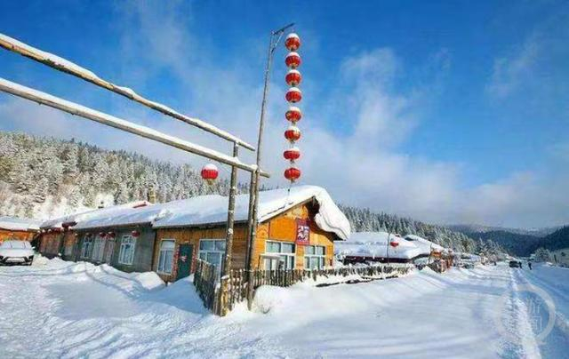 雪乡风景区今年已吸引超过50万名游客。图片来源/网络 
