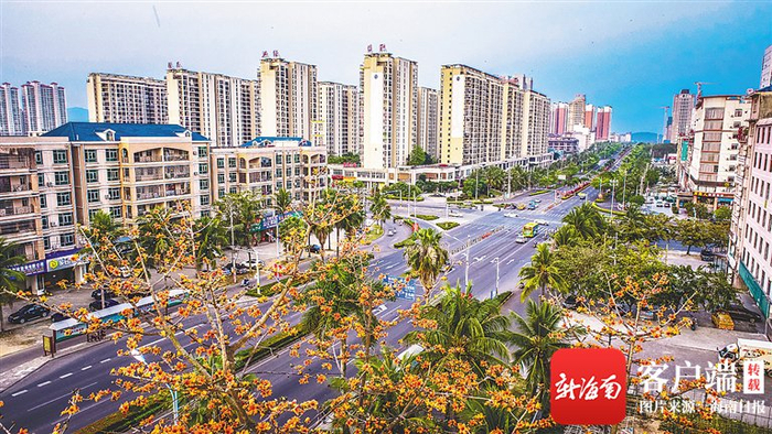 　　儋州市中心大街。特约记者 吴文生 摄