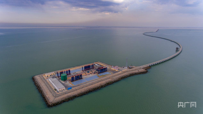 【风起黄河】山东胜利油田:河海交汇崛起绿色石油城 黄河三角洲唱响"