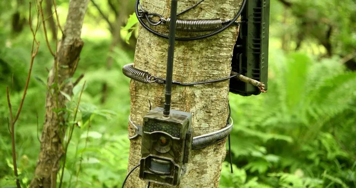 放置在树上的“天地空”一体化监测设备