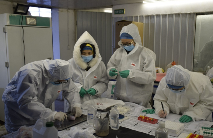 团队在进行基因检测工作
