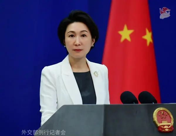 毛宁 资料图 图片来源：外交部网站