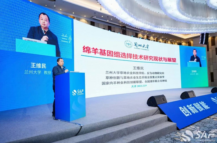 王维民教授在2023羊业发展高级研讨会上介绍研究成果