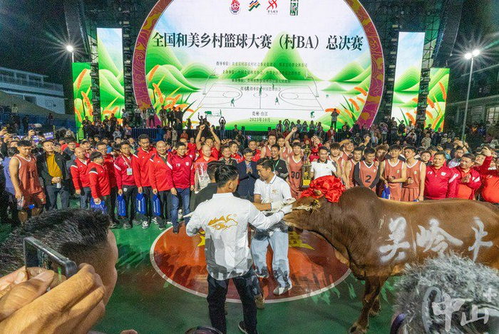 沙溪队领取冠军奖品“关岭黄牛”。中山+记者 黄艺杰 摄