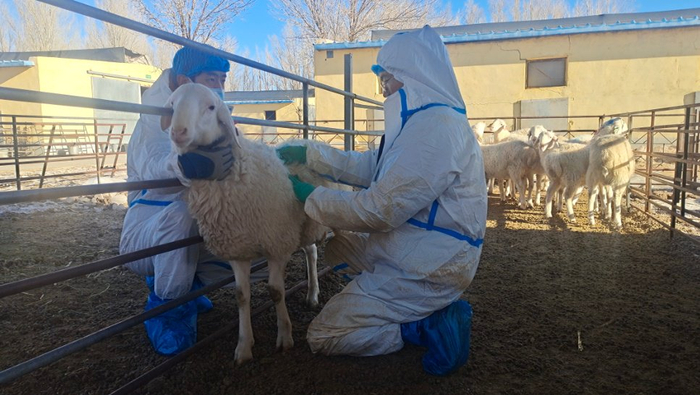 2023年12月，团队成员正在民勤测定中心工作