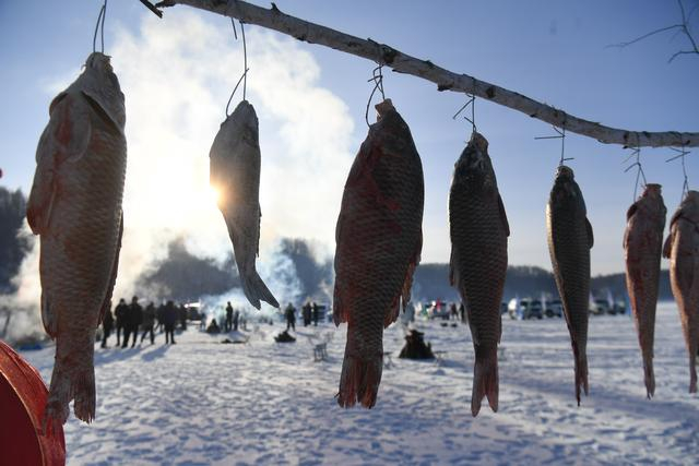 2023年12月30日，新生鄂伦春族乡的一处冰面上，村民们将吃剩的鱼挂在杆上。新京报记者 王颖 摄