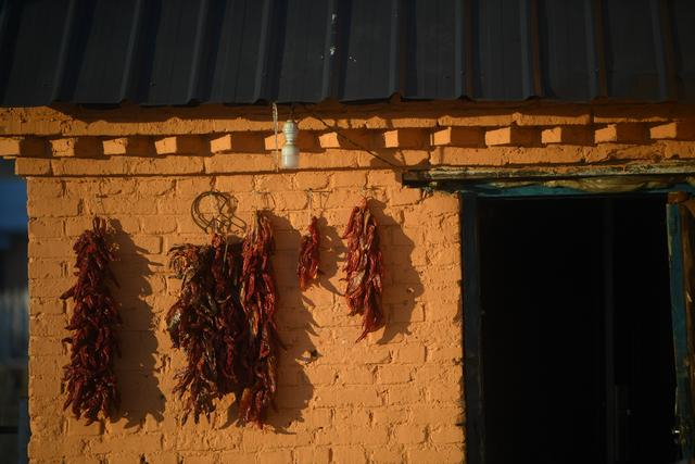 2023年12月30日，新生鄂伦春族乡一户村民家里外墙上挂了几串辣椒。新京报记者 王颖 摄