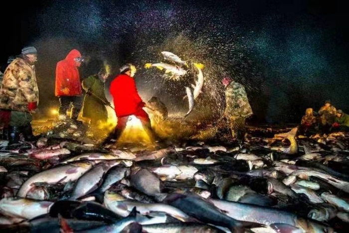 查干湖冬捕盛景 孙晓峰/摄