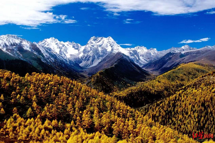 ▲白马雪山国家级自然保护区。图据云南省文化和旅游厅