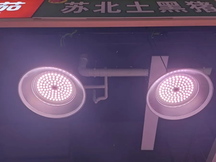 △“苏北土黑猪”铺子新换上的灯具光线比传统生鲜灯柔和了不少。