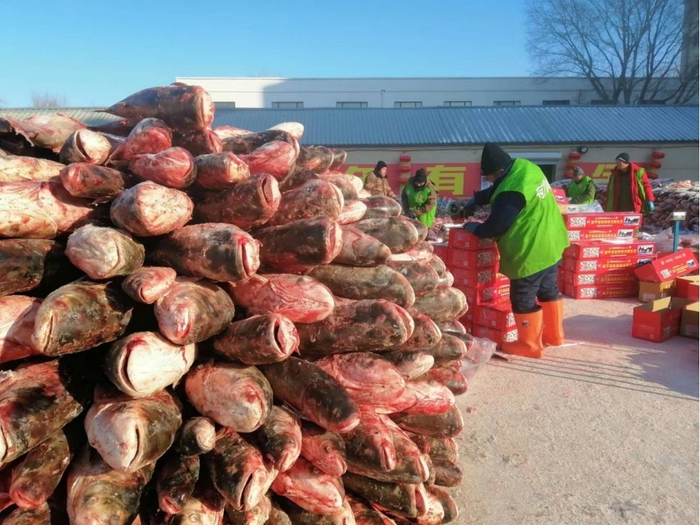 “冰院子”里，工人们正在紧张有序装厢 孟海鹰/摄