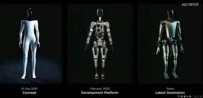 Optimus体重暴增前后