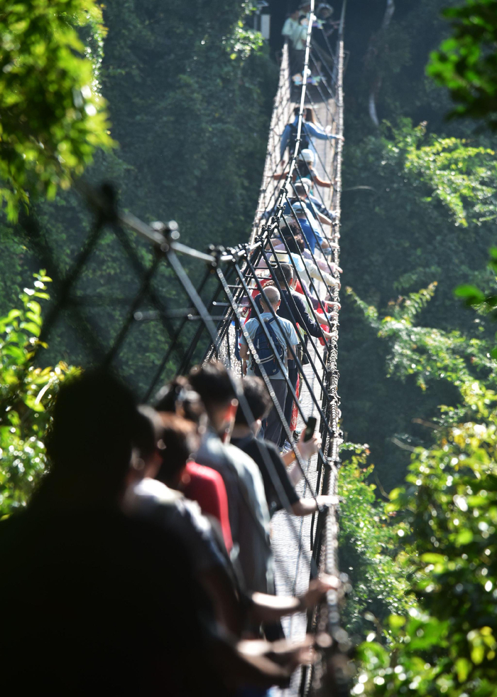 　　元旦假期，游客畅游亚龙湾热带天堂森林旅游区。通讯员 黄庆优摄