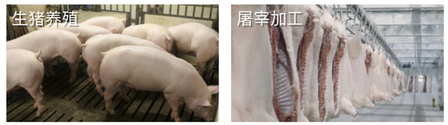 来源：牧原股份官网