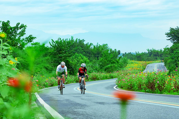 市民在绿道骑行。韦洪涛 摄