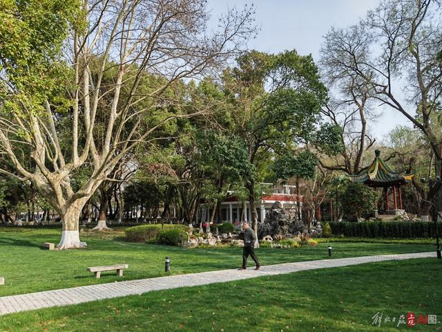 中山公园对面的华政园。徐瑞哲 摄