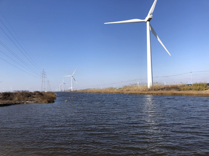 启东市近海镇3千亩“贝类净化+循环水” 养殖项目。丁蔚文/摄