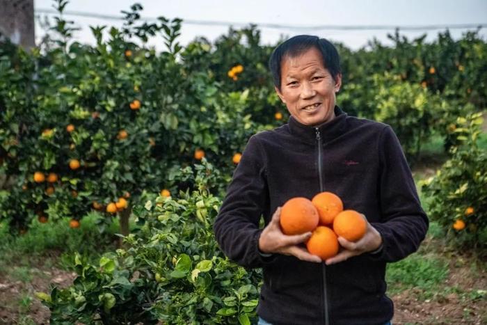 在奉节县草堂镇欧营村，村民在展示刚刚采摘的脐橙（2023年11月28日摄）。新华每日电讯记者 唐奕 摄