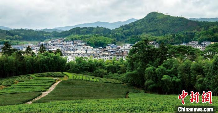 图为被绿色围绕的中沙乡。杨为春摄