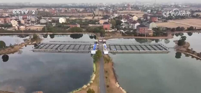 乡村振兴活力足 特色产业“金钥匙”开启增收“致富路”(含视频)_手机新浪网