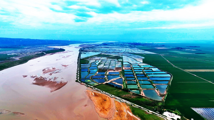 黄河从陕西大荔缓缓流经,为沿岸带来无限的生机与活力(央广网发