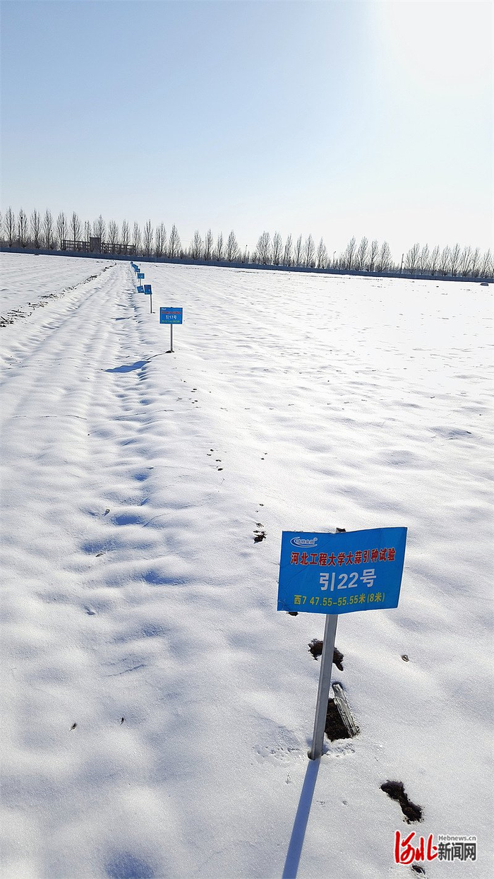 2023年12月21日，大名县万堤镇，河北工程大学教学科研实践基地被大雪覆盖。 河北日报记者 王思达 摄