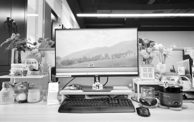     图为网友在社交媒体上分享的工位照。（图片来源于网络）