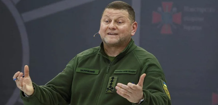 ▲乌克兰武装部队总司令扎卢日内