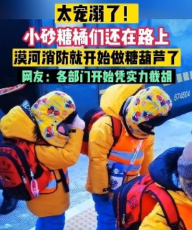 （图源 洛阳晚报视频号）