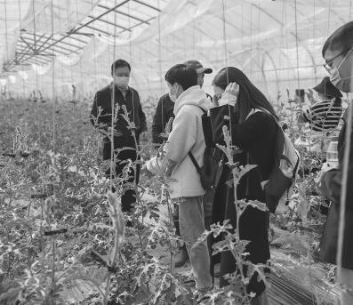 《植物生产学》课程实践