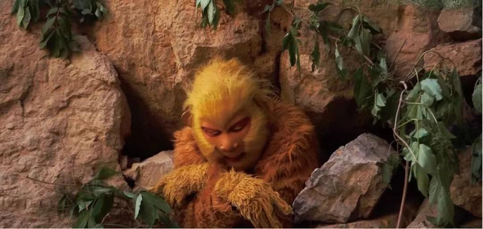 ▲太行五指山景区的相关照片 受访者供图