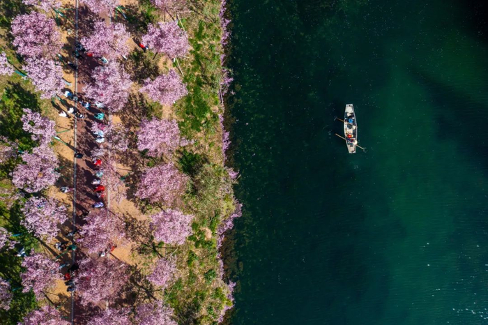 浙江省金华市浦江县浦阳江同乐段的美景。新华社记者徐昱摄