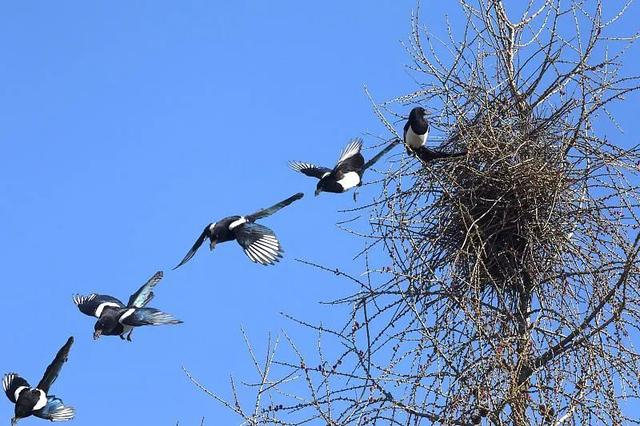 图/央视新闻公众号