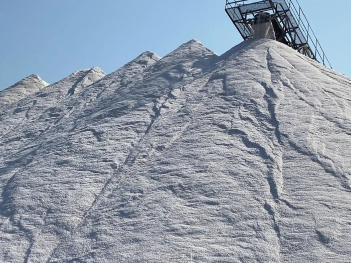 盐山（图片来源：@掌上天津）