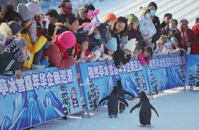 （图片来源：“陶然亭公园”微信公众号）