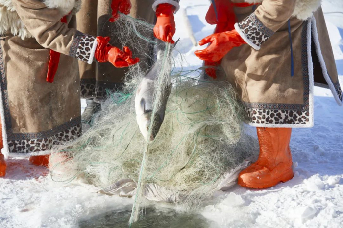 （图片来源：“库伦淖尔旅游度假区”微信公众号）