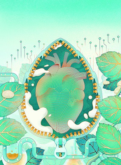 慢性炎症伤口的蚕丝基敷料研究进展（插图） 罗原