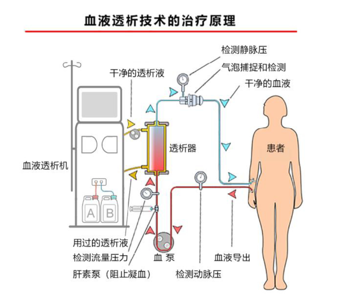 来源：山外山招股书、高禾投资研究中心