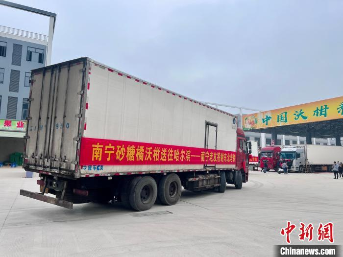 1月5日，满载广西“老表”心意的砂糖橘和沃柑，从广西南宁市发往哈尔滨。刘妍伶 摄