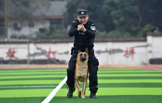 江华与“好迪”正在训练（张磊 摄）