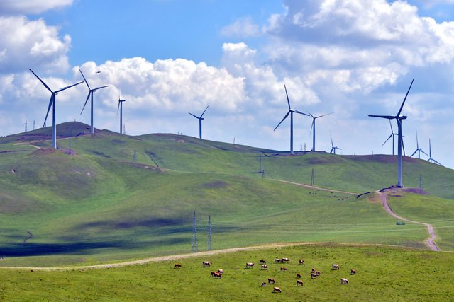 中国已成为全球最大的光伏和风电市场。图为国家电投内蒙古公司风电项目。摄影/章轲