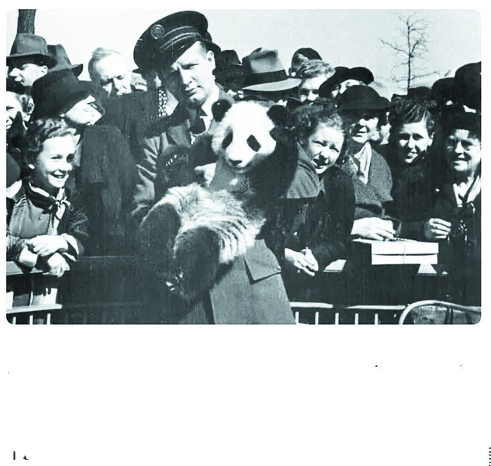     1941年11月9日，宋美龄和宋蔼龄在重庆主持了赠送熊猫典礼。