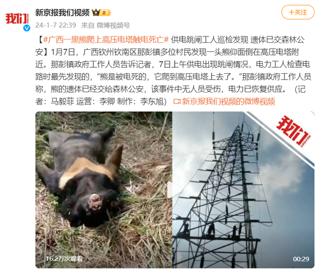 @新京报我们视频 微博截图