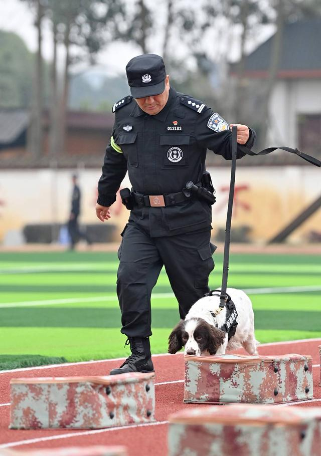 宋建军带领“波比”箱包搜毒（张磊 摄）