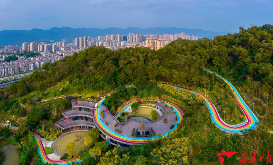 福山郊野公园彩虹步道。福建日报游庆辉 摄
