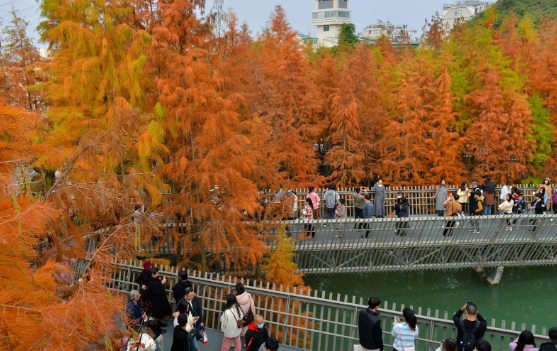 福州市福道梅峰山地公园。福建日报记者 游庆辉 摄